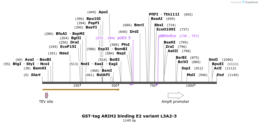 490174_map