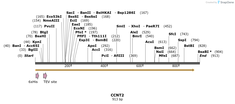 49018_map