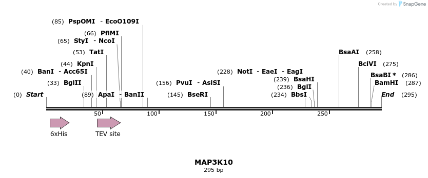 49020_map