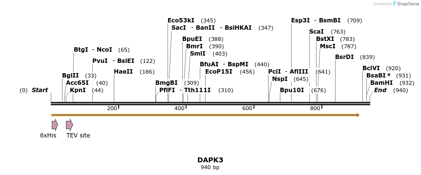49022_map