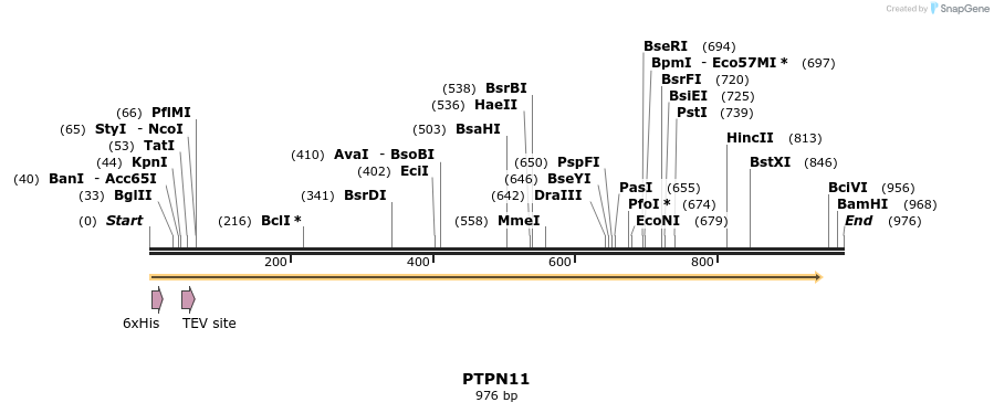 49023_map