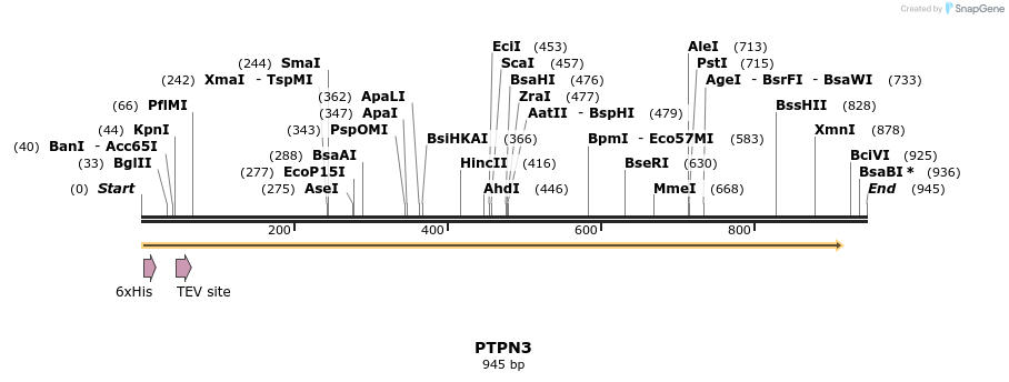 49024_map