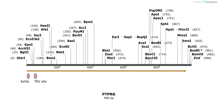 49025_map