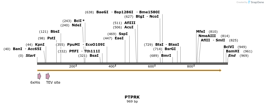 49026_map