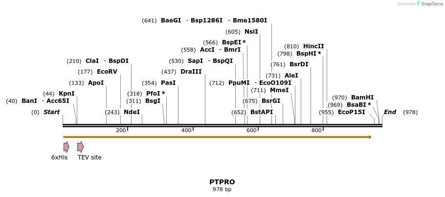 49027_map
