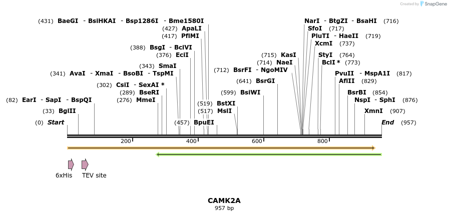 49029_map