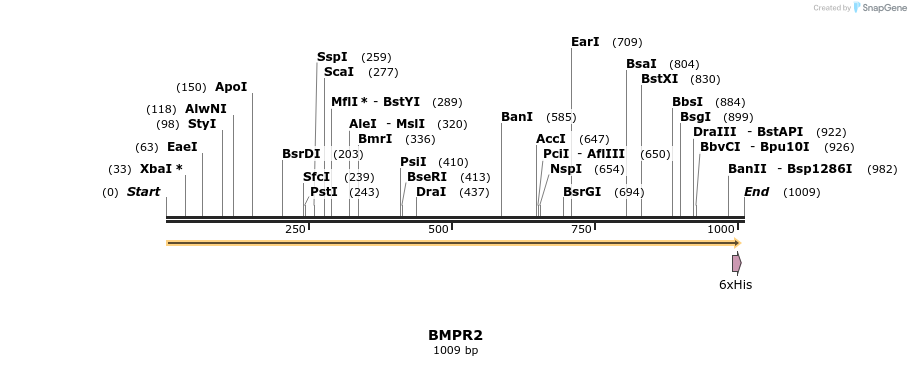 49030_map