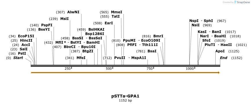 490305_map
