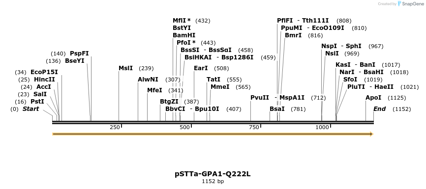 490309_map