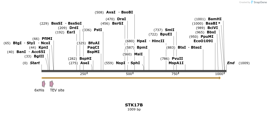 49031_map
