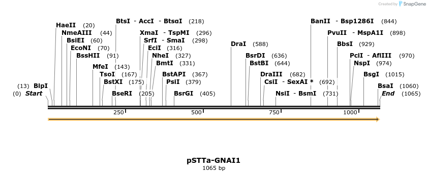 490311_map