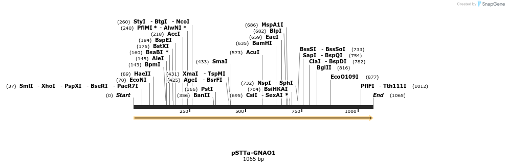 490313_map