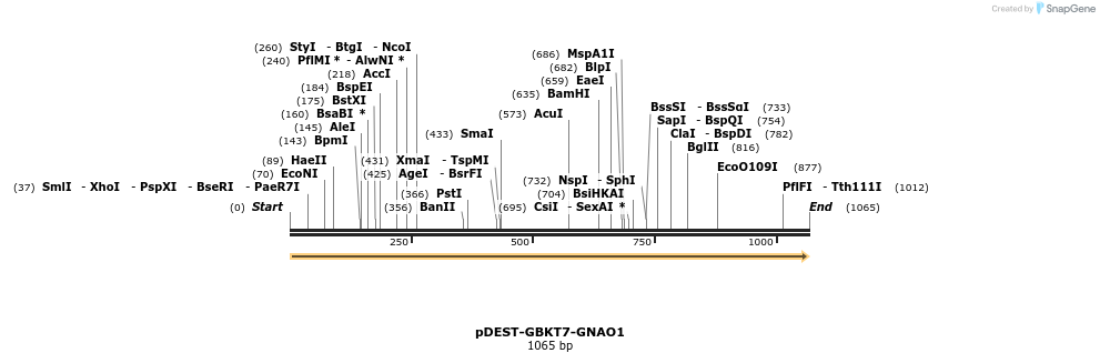 490317_map