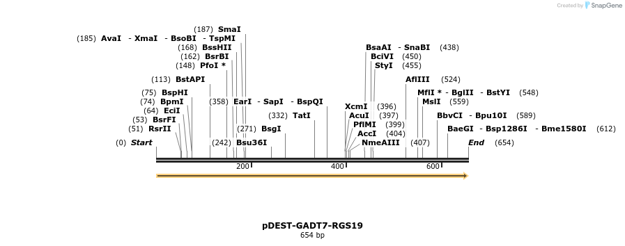 490320_map