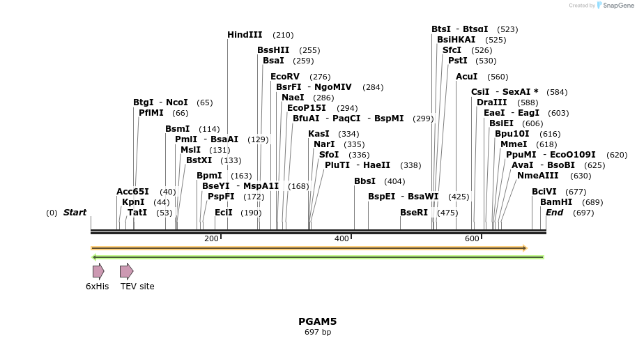 49034_map