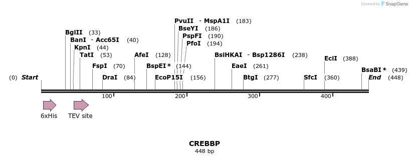 49035_map
