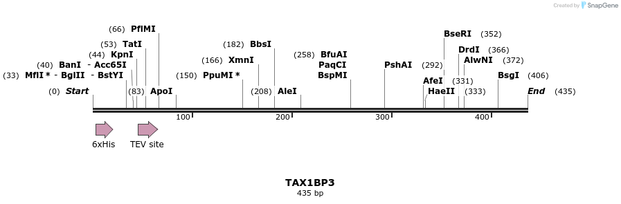 49037_map