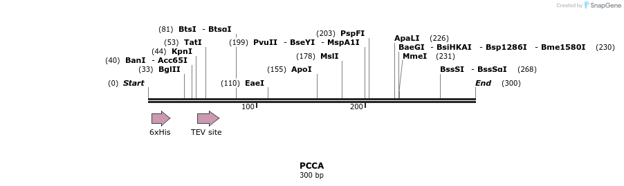 49038_map