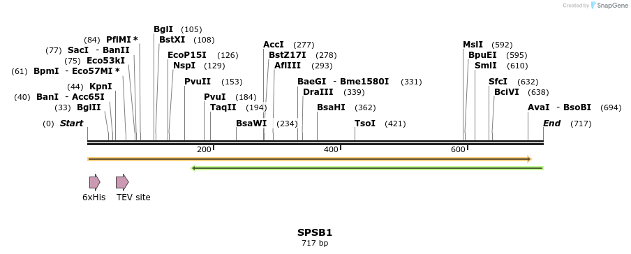 49039_map