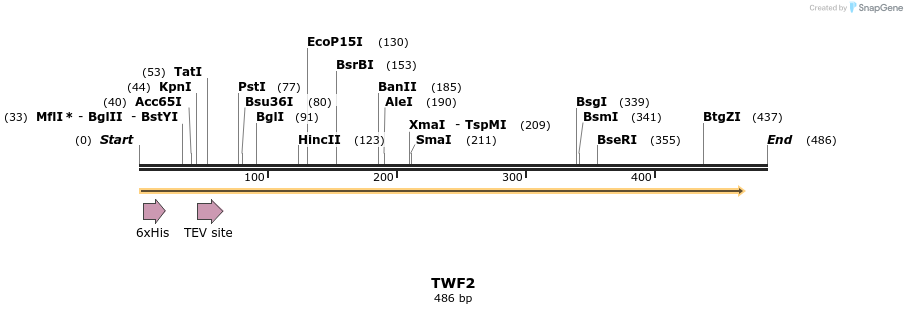 49040_map