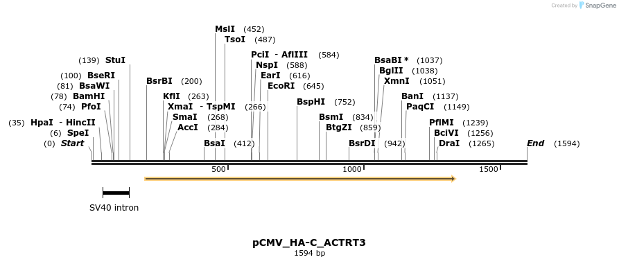 490403_map