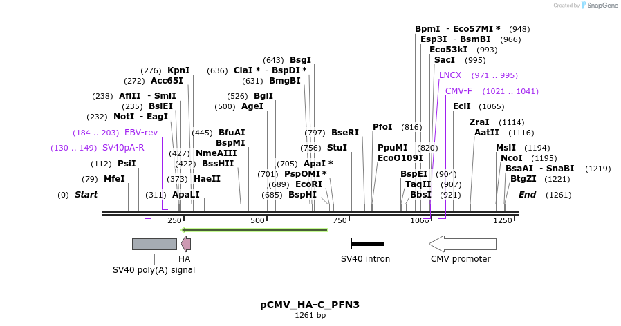 490404_map
