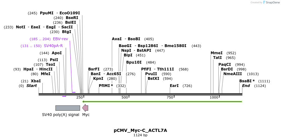 490406_map