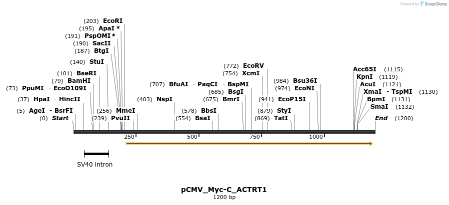 490407_map