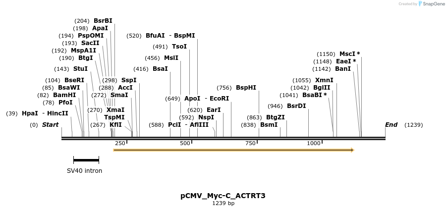 490409_map