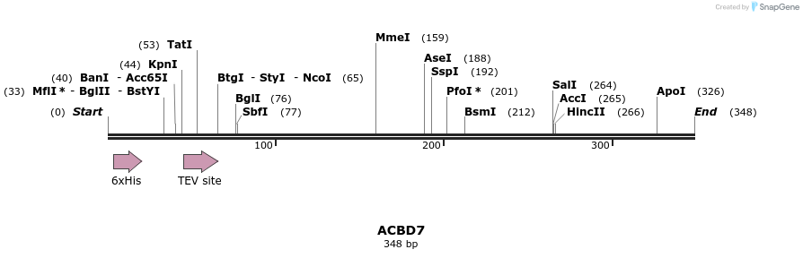49044_map