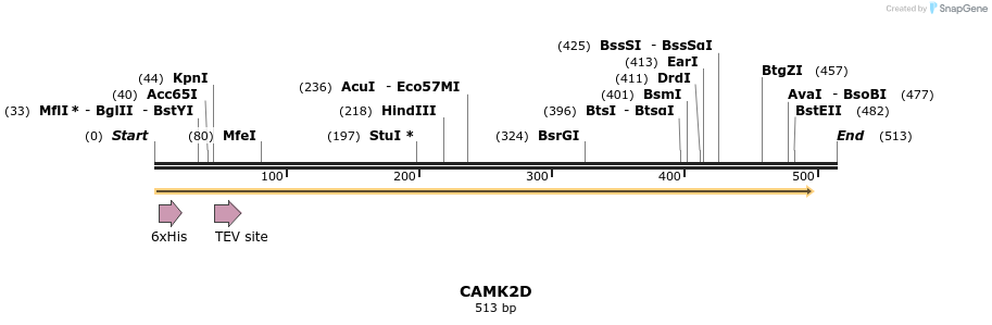 49045_map