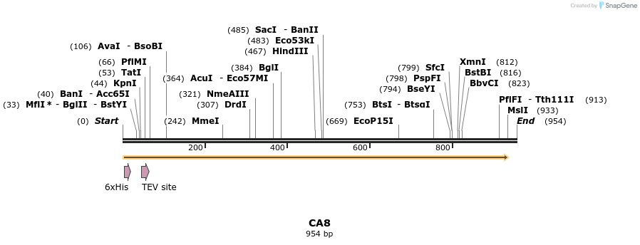 49047_map