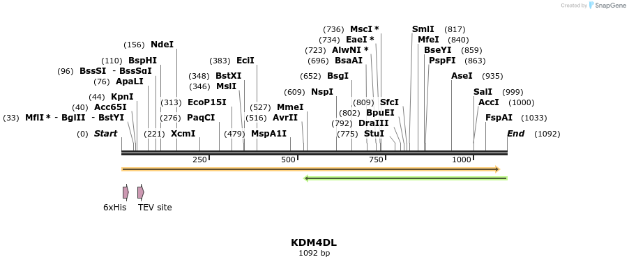 49048_map