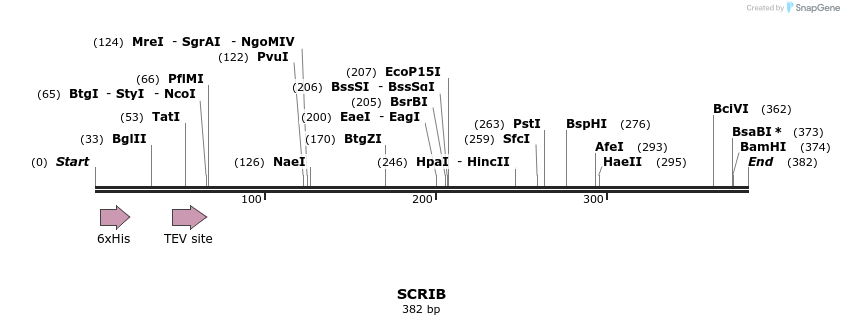 49049_map