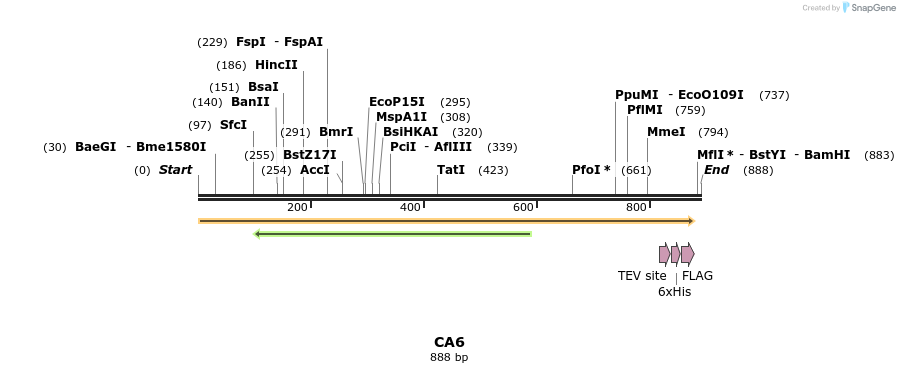 49050_map