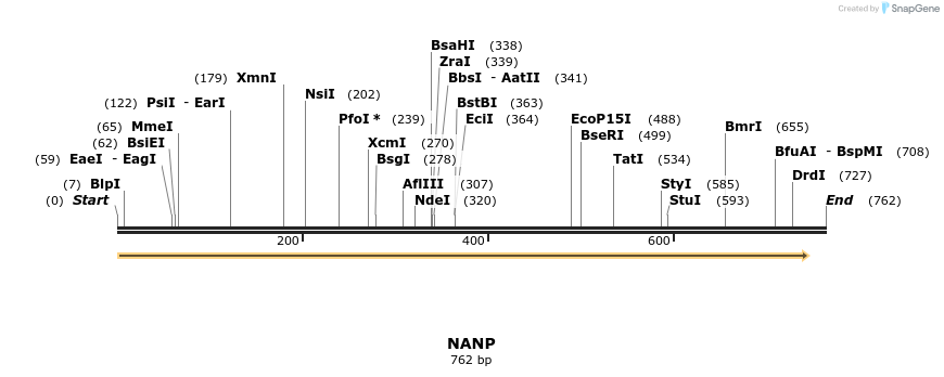 49051_map