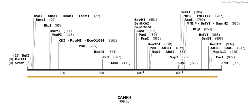 49052_map