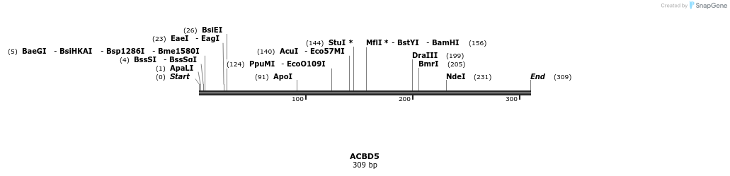 49054_map