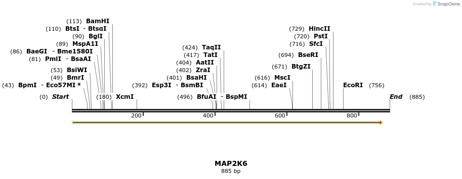 49055_map