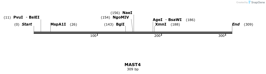 49056_map