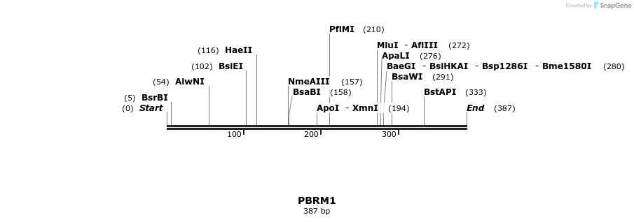 49057_map