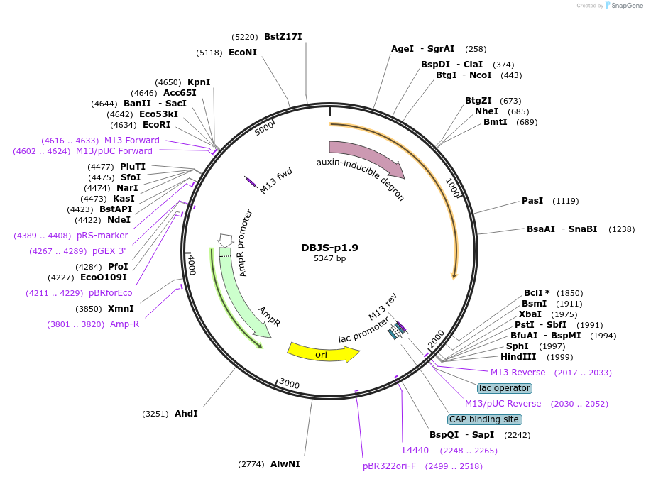 490571_map