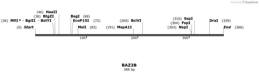 49058_map
