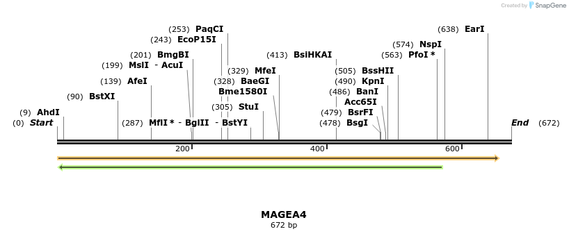 49059_map