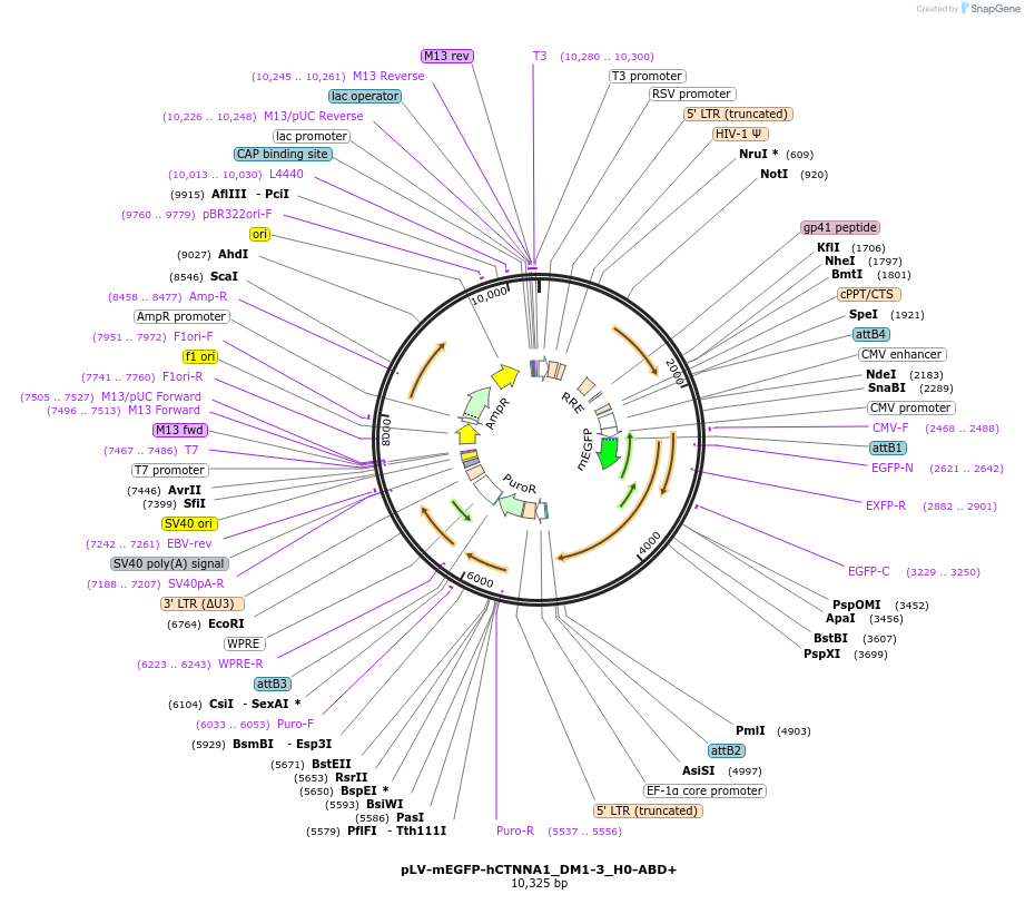 490594_map