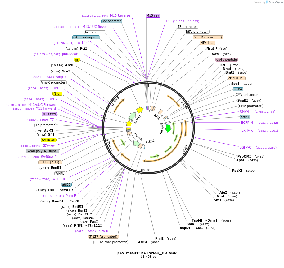 490595_map