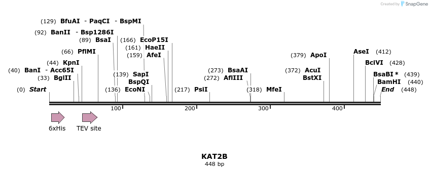 49060_map