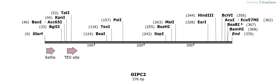 49061_map