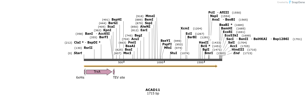 49062_map