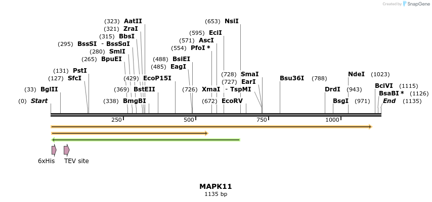 49063_map